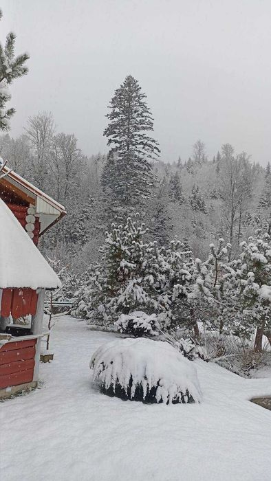 Здам котедж на Новорічні Різд вяні свята.