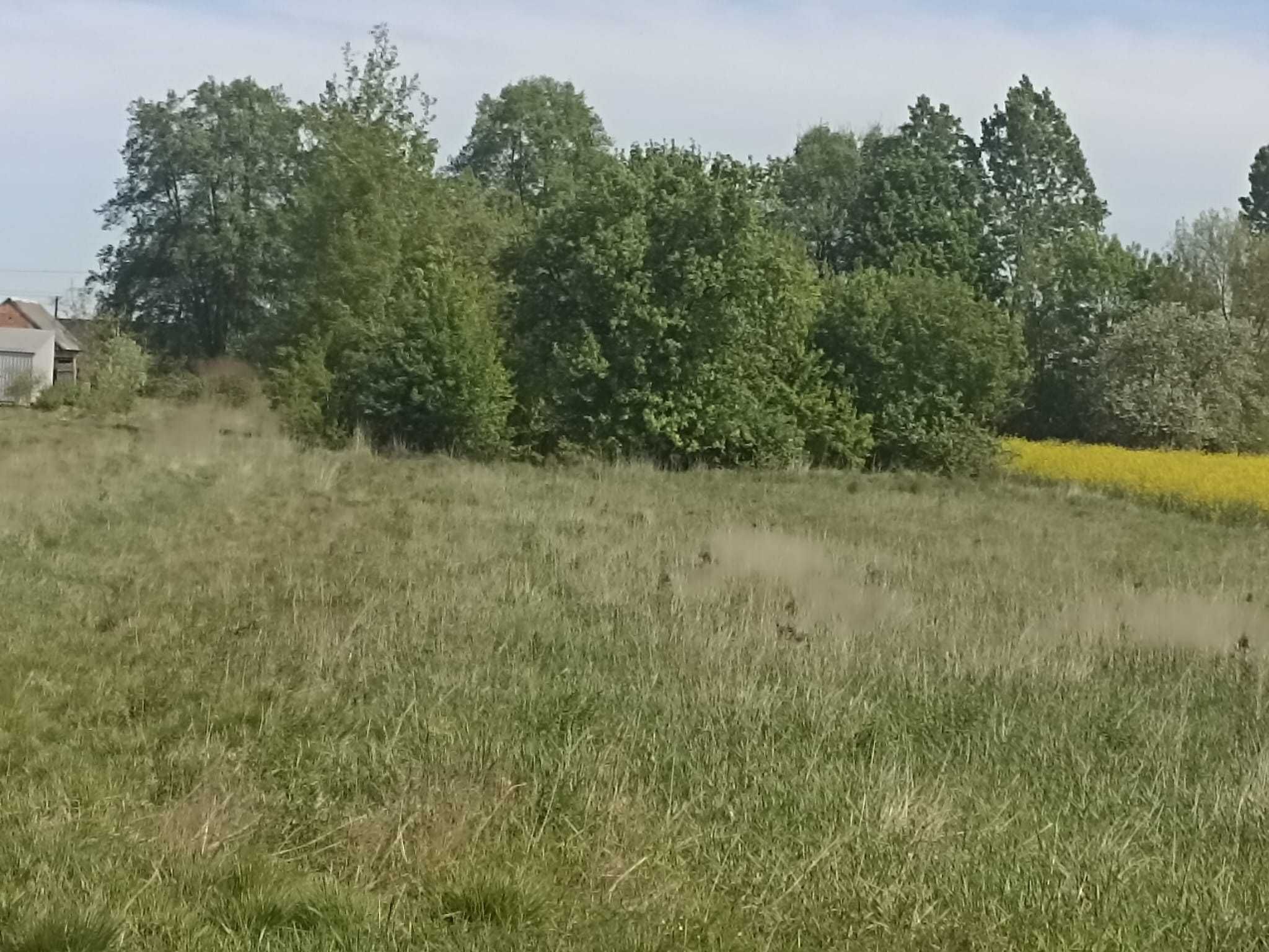 Działka 7000m2 Budowlana przemysłowa SIEDLISKO Łagów gm, przyłęk rola