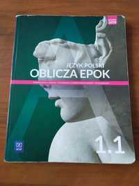 Język polski oblicza epok 1.1