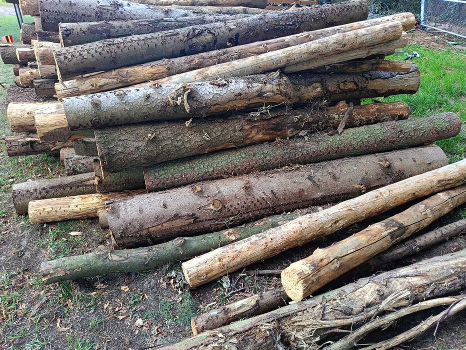 Drewno opałowe iglaste- świerk.