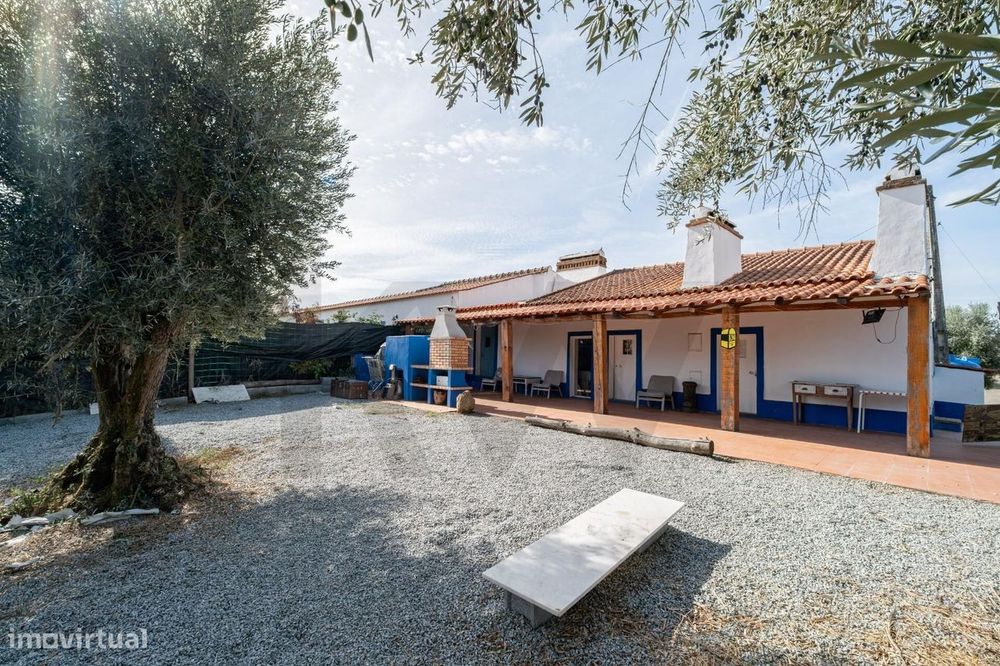 Quinta T4 em Montemor o Novo - Évora com terreno de 22,175 m2  olival