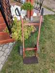 Czerwony wózek transportowy 200-300kg