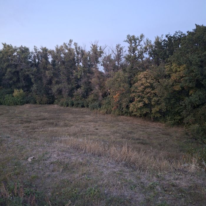 Продам дом в Царичанке