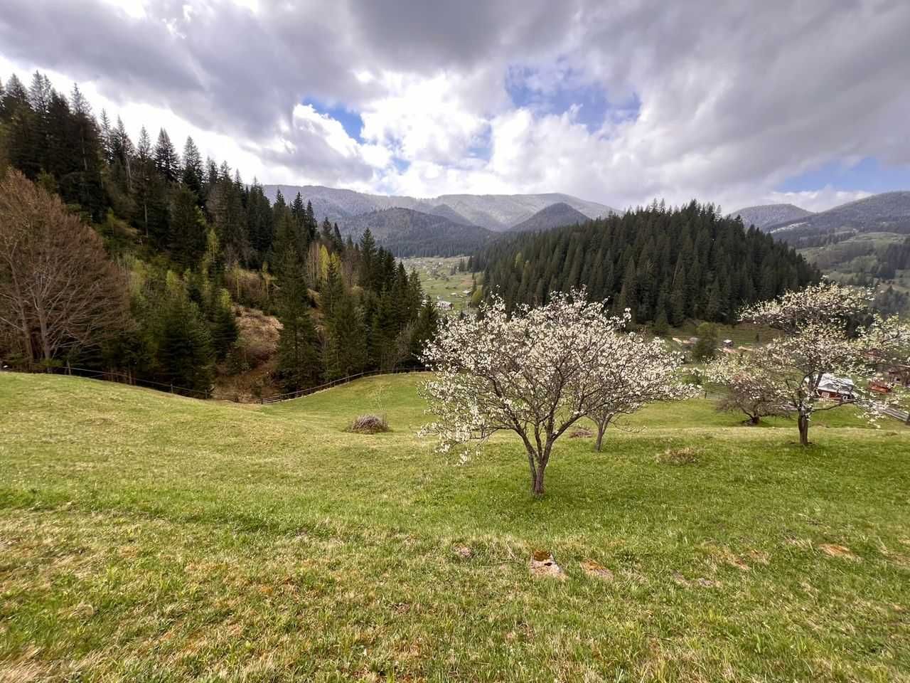 Продам землю та будинок в самому серці Карпат.