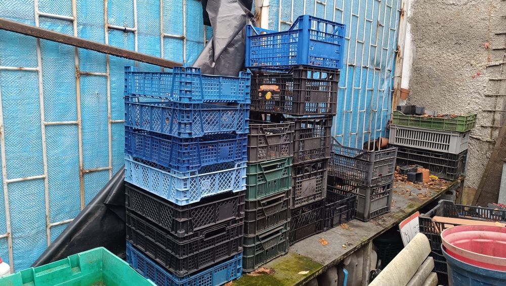 Skrzynki na owoce, warzywa, rosliny