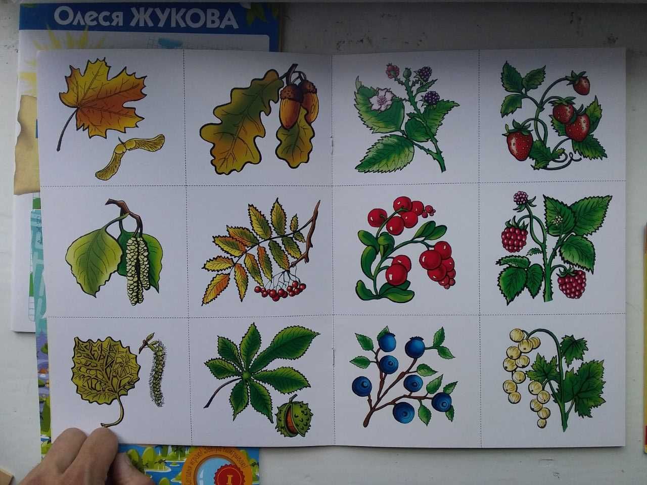 Развивающие книги для детей. Лабиринты, логические задания