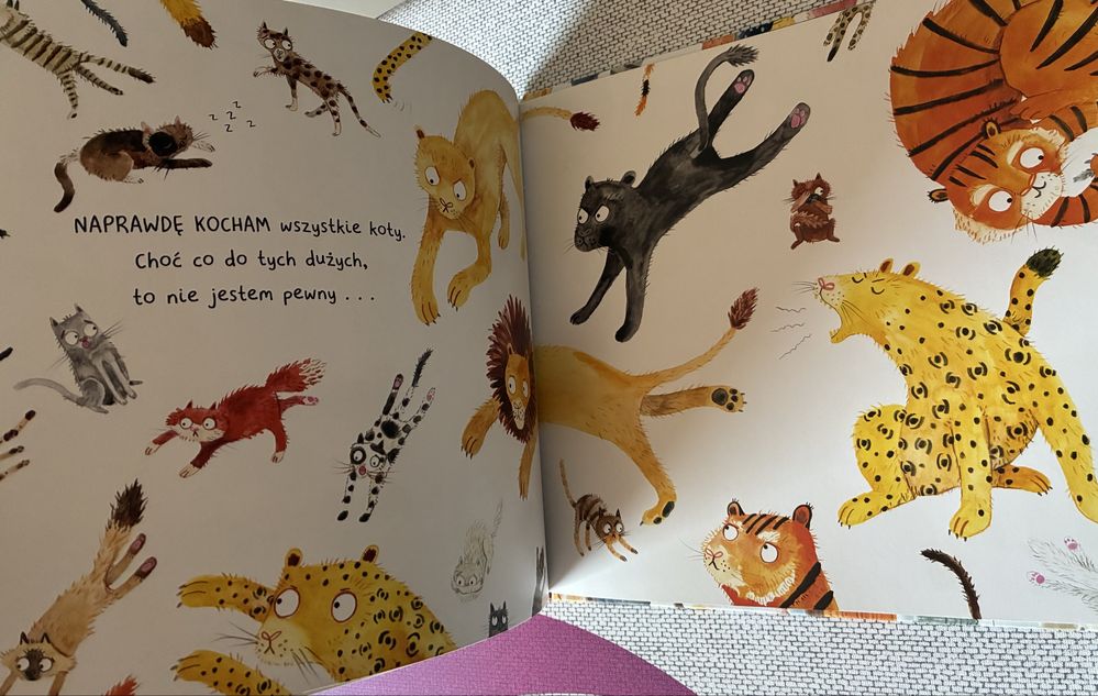 Kotki koty i kocury Amberek ksiazeczka dla dzieci