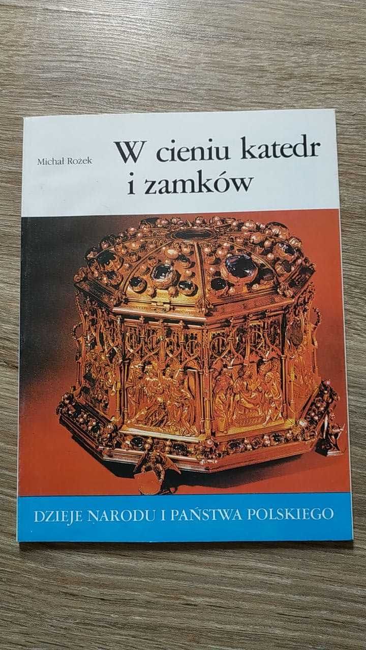 "W cieniu katedr i zamków" Michał Rożek