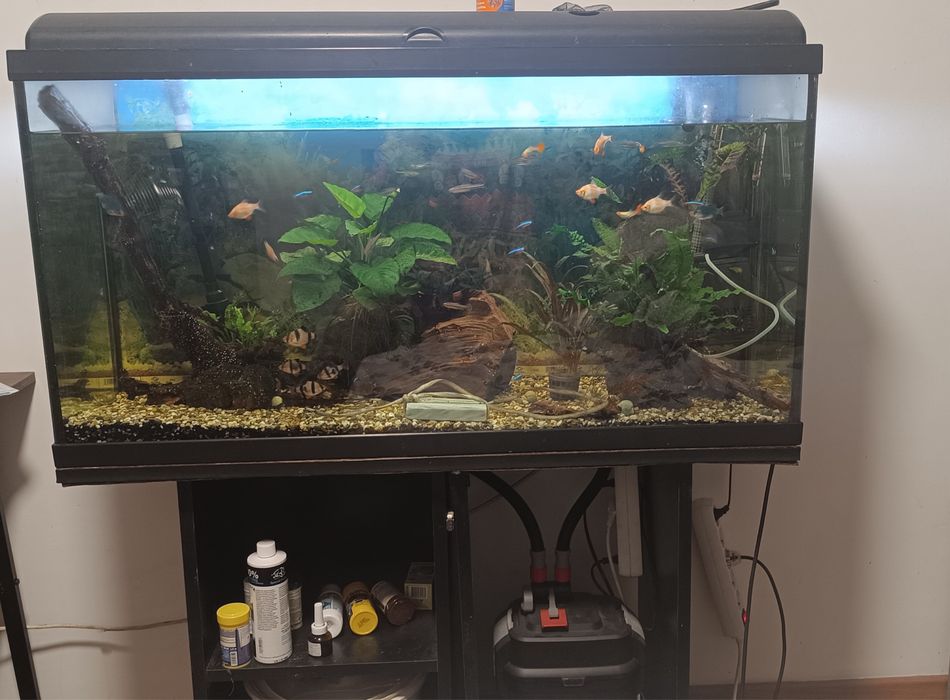 Aquario 100x50x40