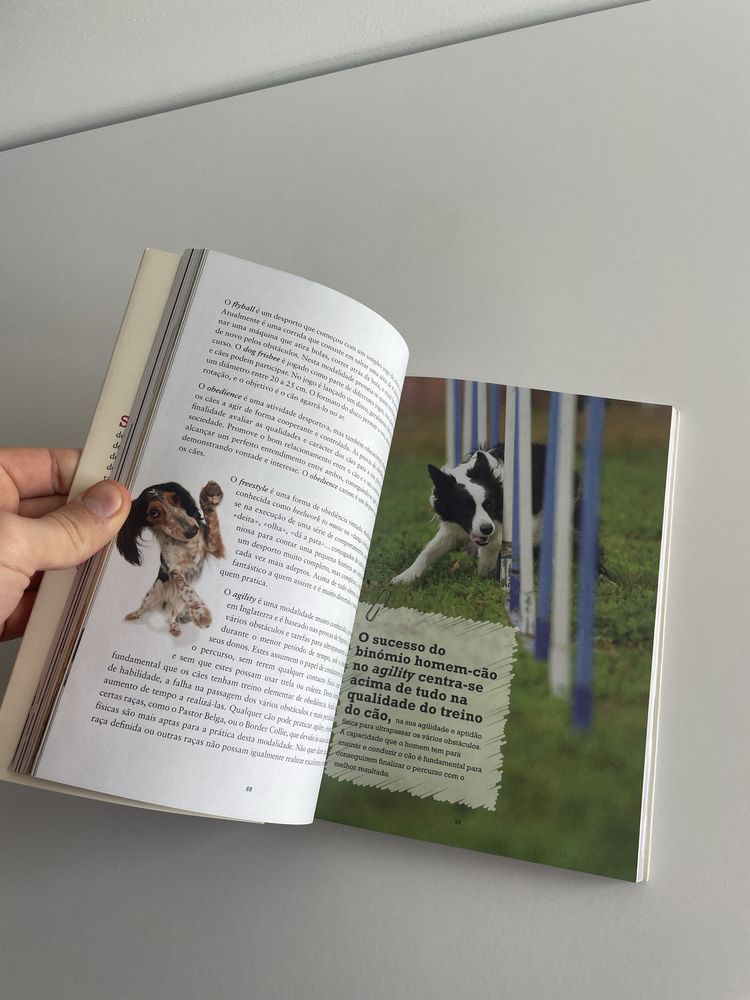 Cool Dog Dicas e Conselhos