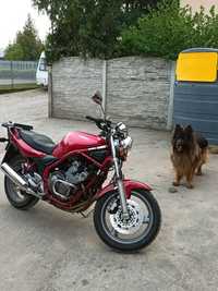 Yamaha Xj600 naked a2