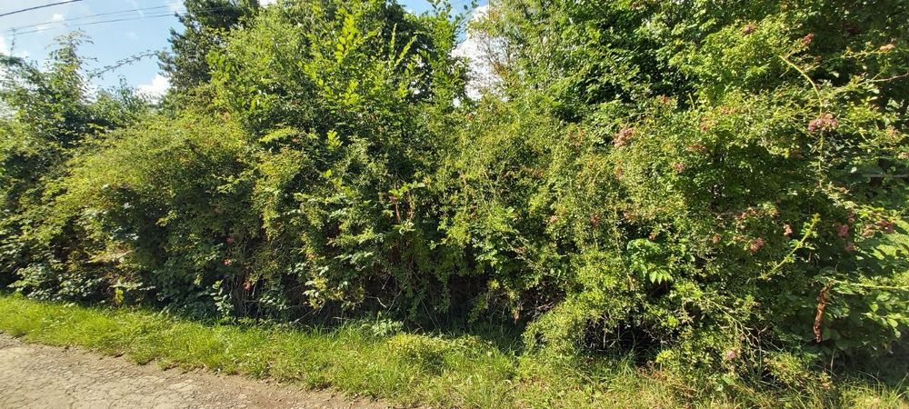 Продам будинок в  Сваляві