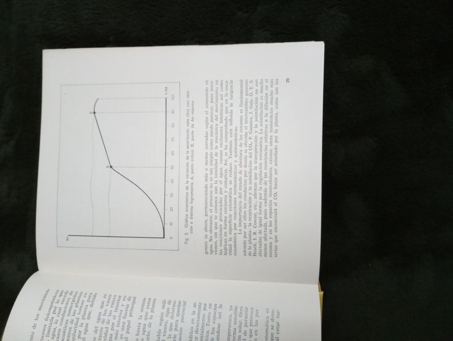 Cultivos Ornamentales	- Jesús Miranda de Larra y de Onís 1975 1 Edição