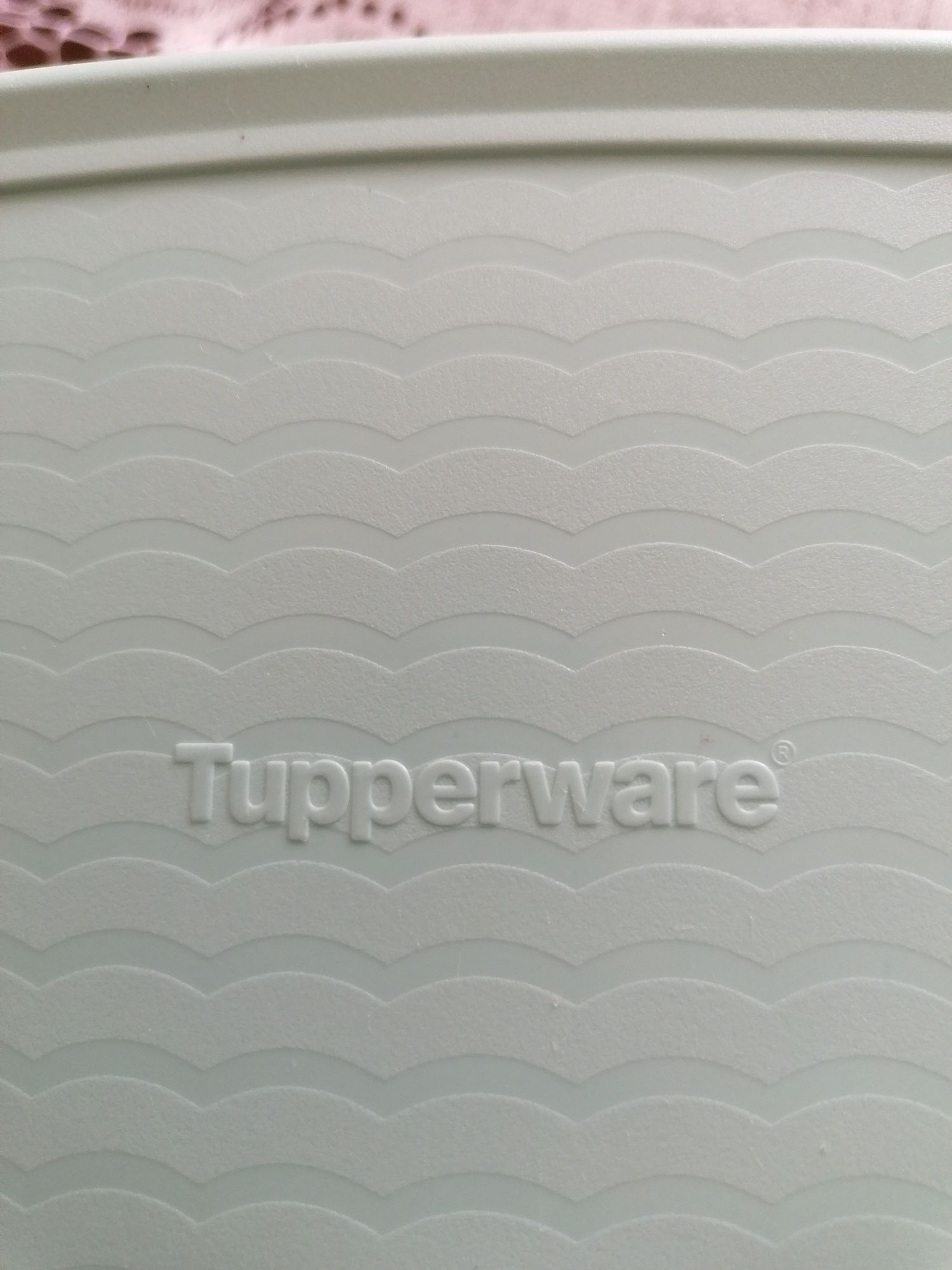Pojemnik Tupperware szklarnia