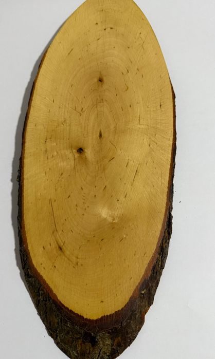 Tábuas de Pinho para empratar