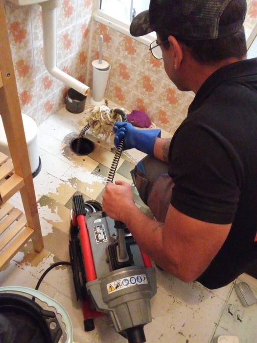 Desentupimento  / Controlo de pragas