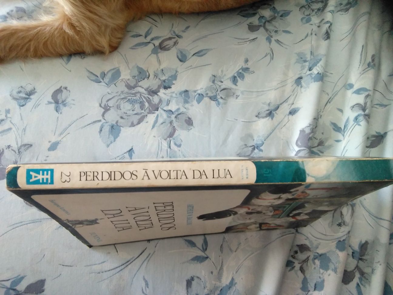 Perdidos à volta da lua