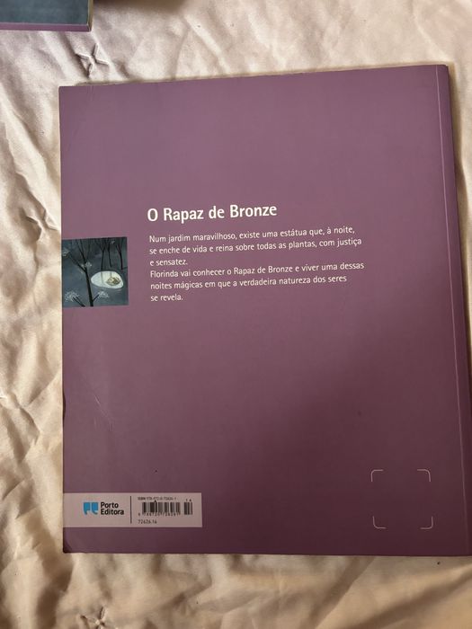 O Rapaz de Bronze livro