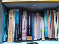 Livros VENDIDOS EM SEPARADO - Vários Preços Lotes 33+40+46+47