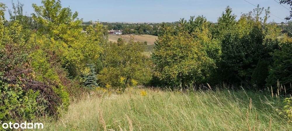 Wyjątkowa działka budowlana z widokiem w Prandocinie Wysiołek!