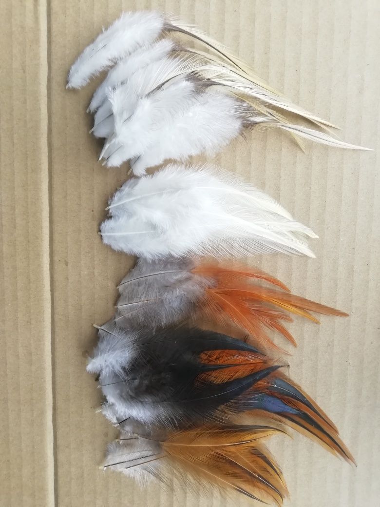 Перо перья птиц пір'я птаха натуральные фазан орел сова павлин цесарка