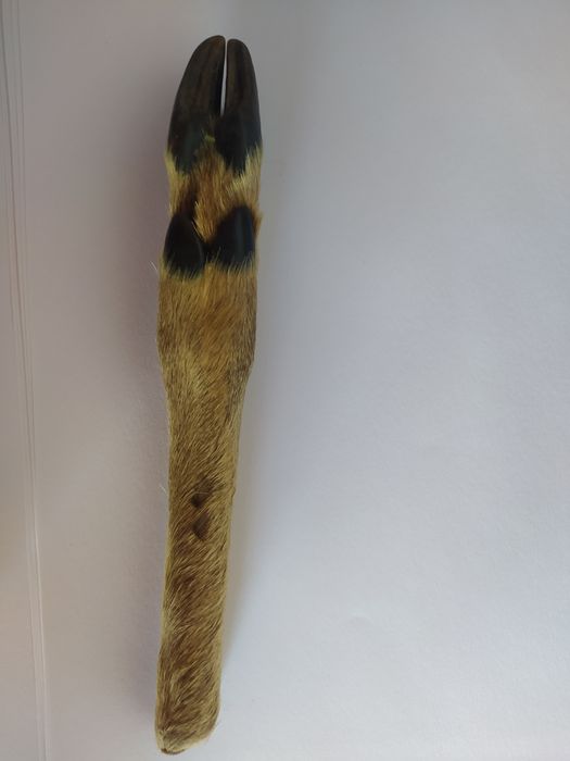 Ніжка косулі під оздоблення ножа