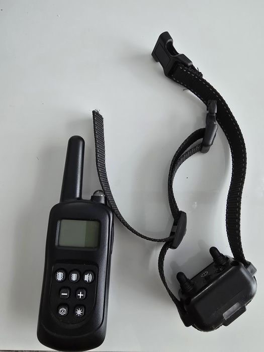 Elektryczna obroża dla psów