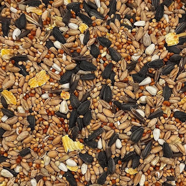 5kg Mix dla papug falistych i średnich nimfa rozella karma STANDARD Ch