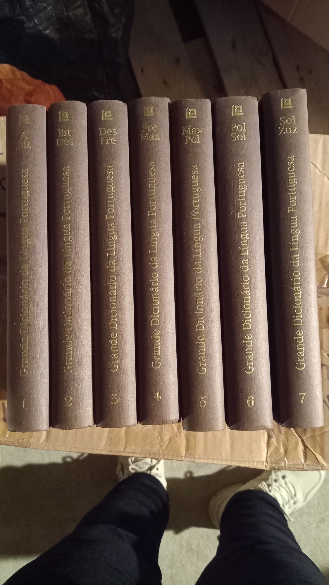 Vendo Grande Dicionário da Língua  Portuguesa  muito barato