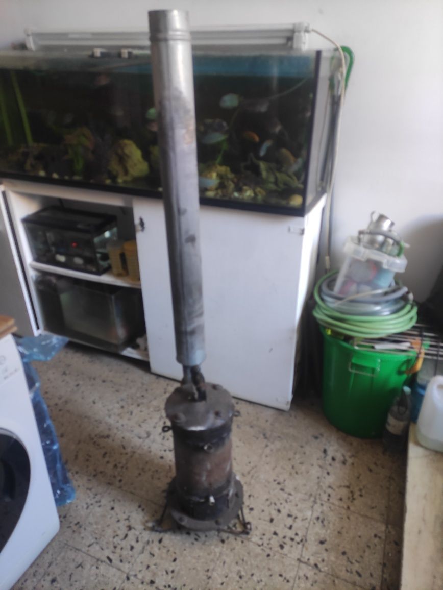 Salamandra em bom estado