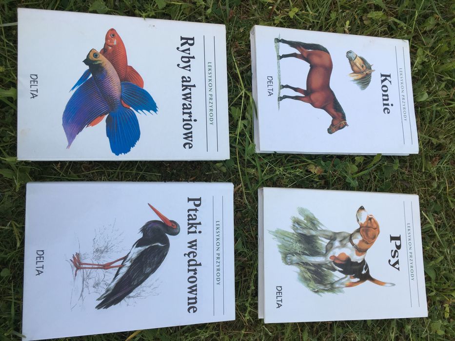 Leksykon. Psy, koty, ryby, konie, owady, drzewa, ptaki ilustrowany