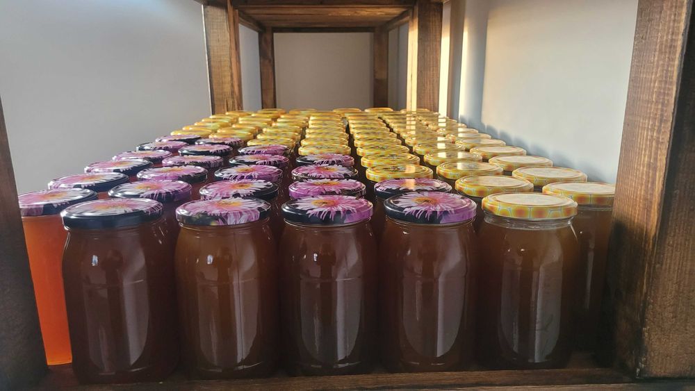 Miód gryczany i wielokwiatowy z własnej pasieki!