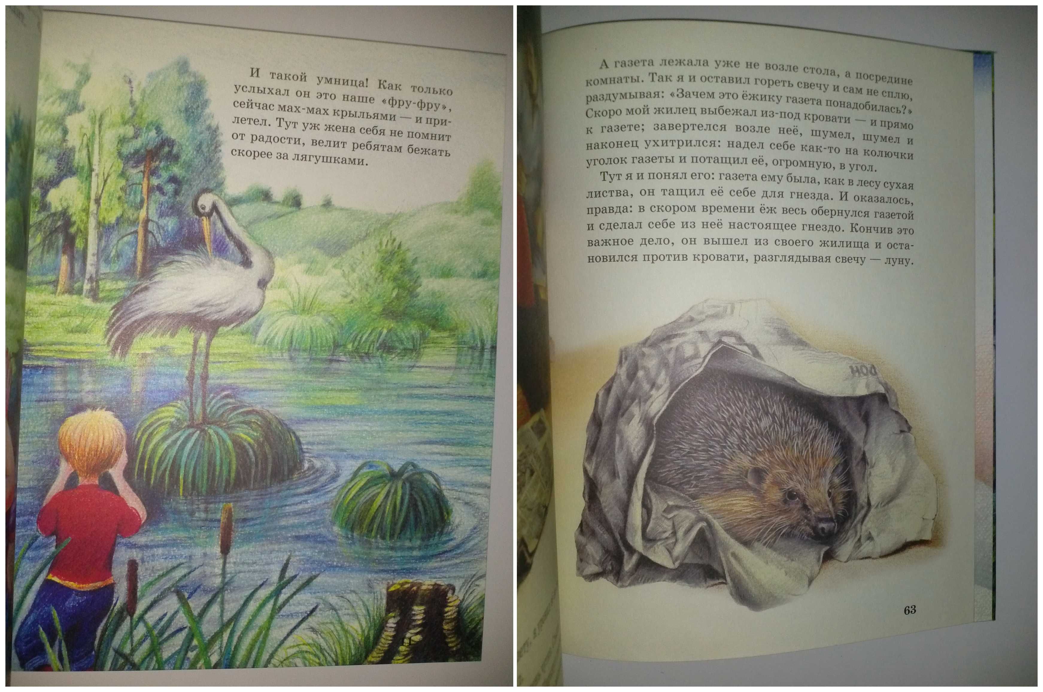 Детские книги Пришвин Рассказы о животных