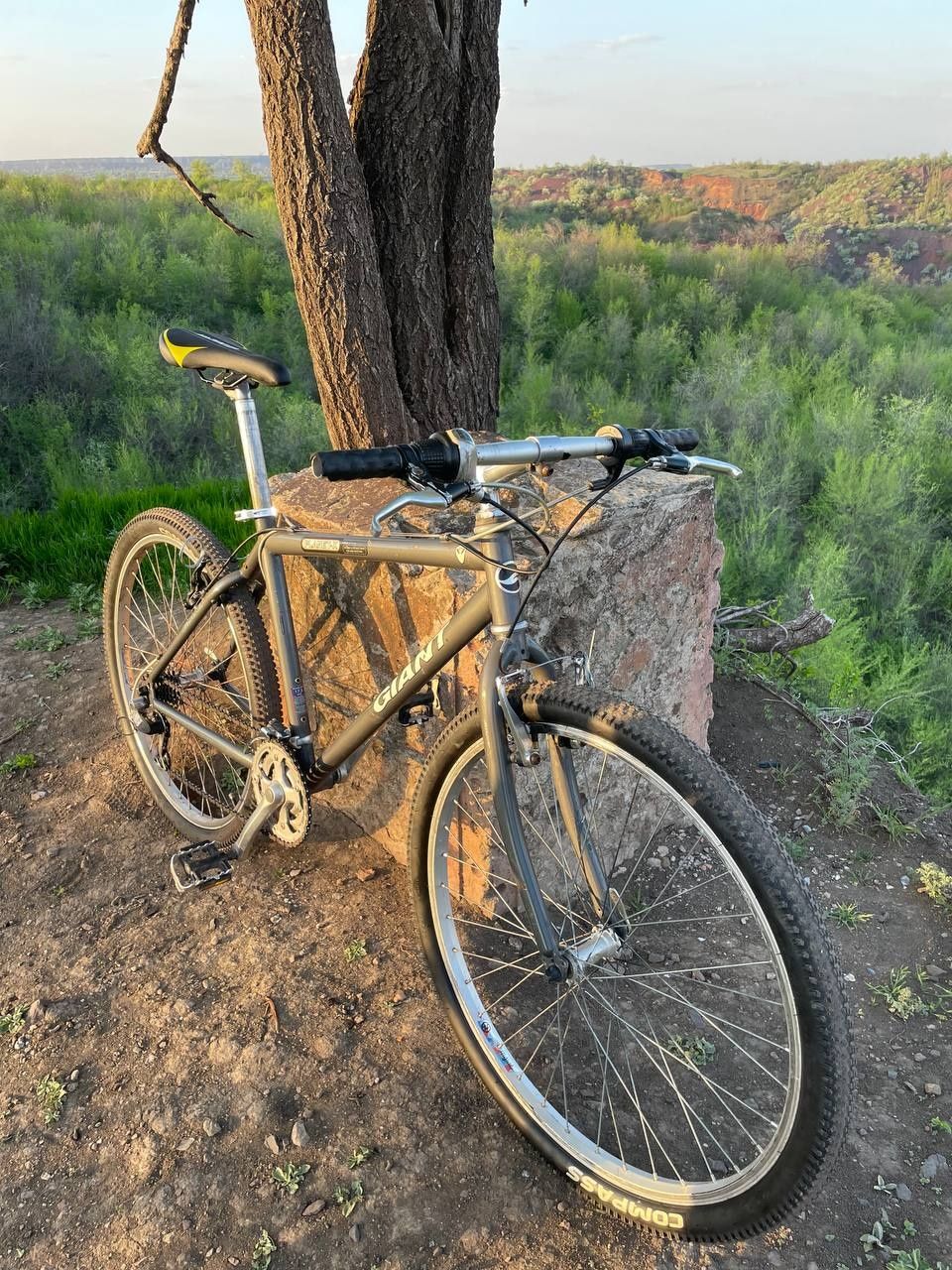 Old school mtb giant Planet X 26