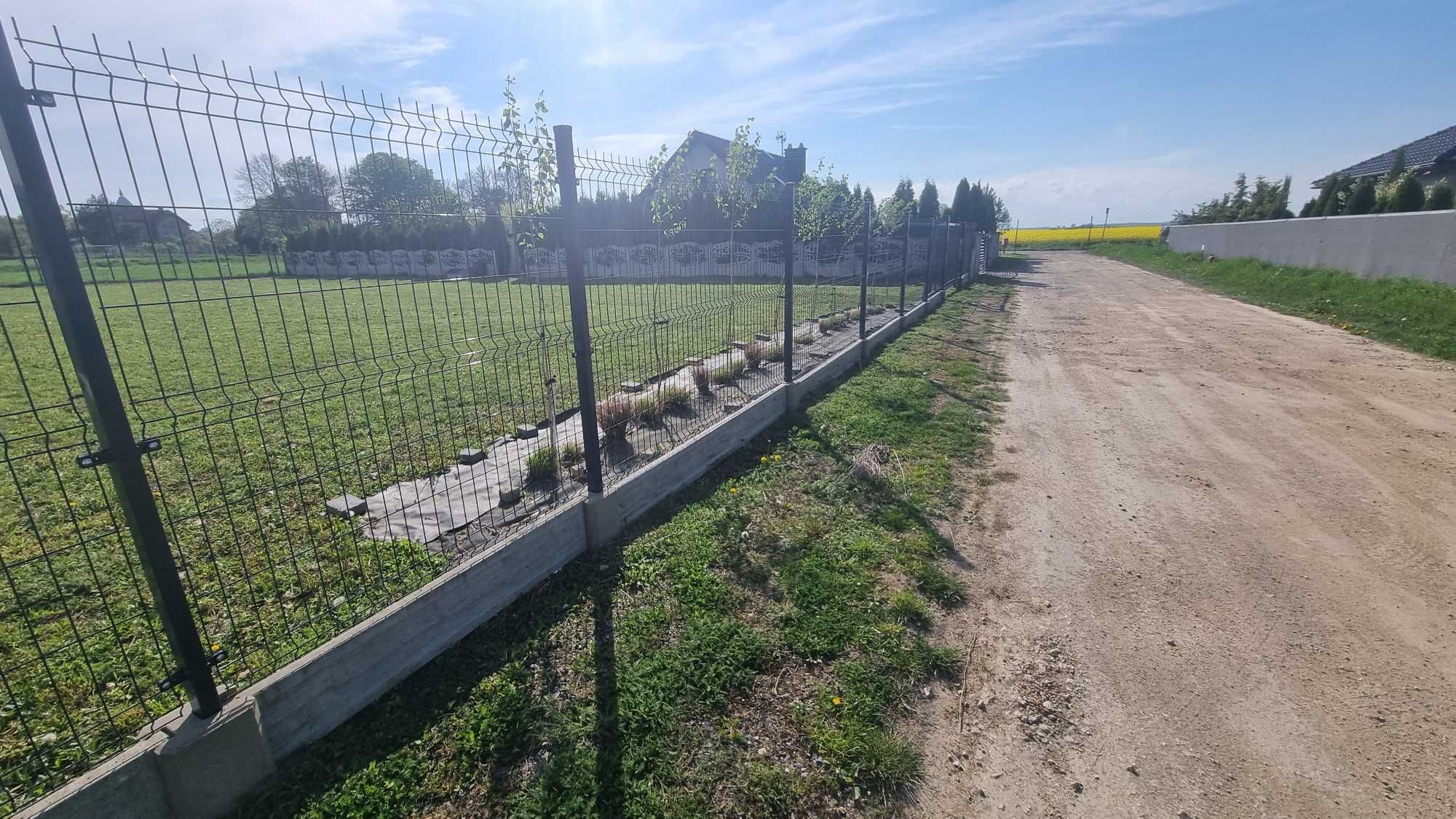 Działka budowlana Rosochata