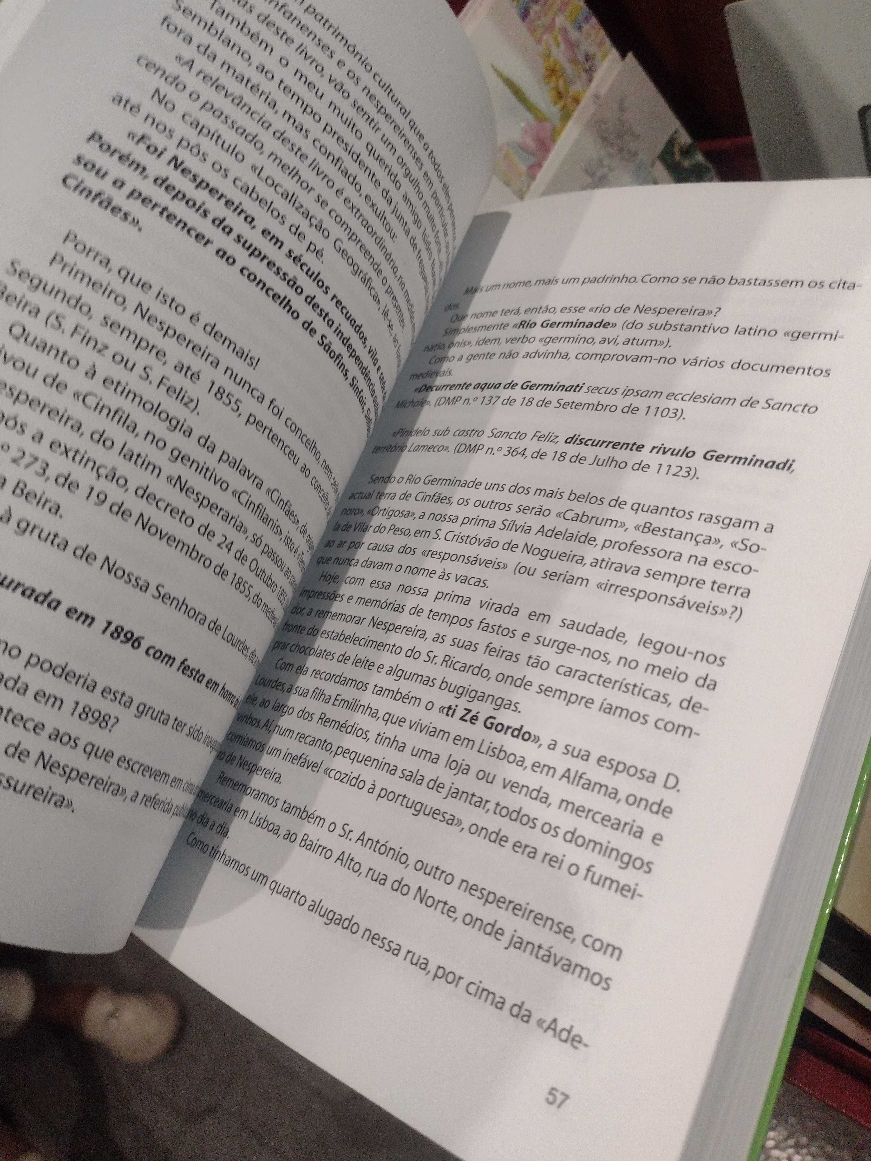 Cinfães ontem, Cinfães hoje - Guido de Monterey