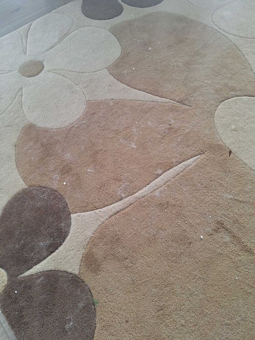 Хімчистка килимів