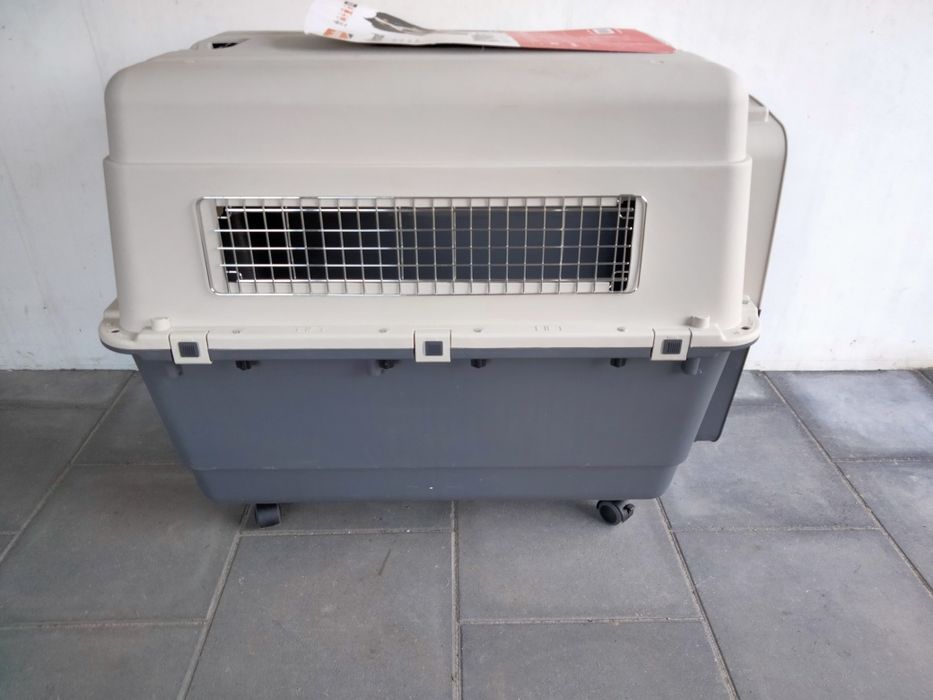 Duży plastikowy transporter na kółkach nowy