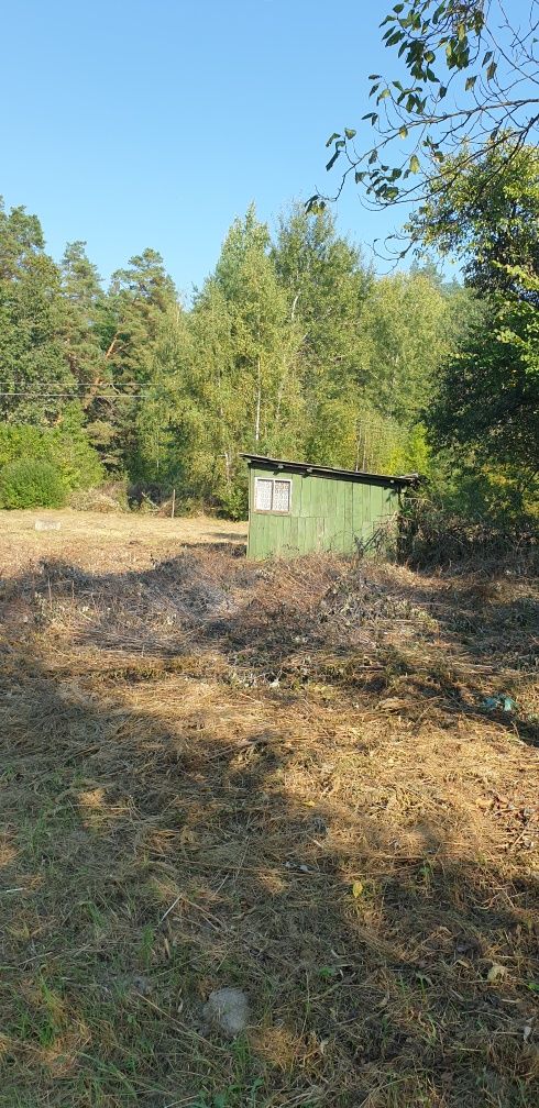Ексклюзивна земельна ділянка в сосновому лісі, р-н Кавунових дач