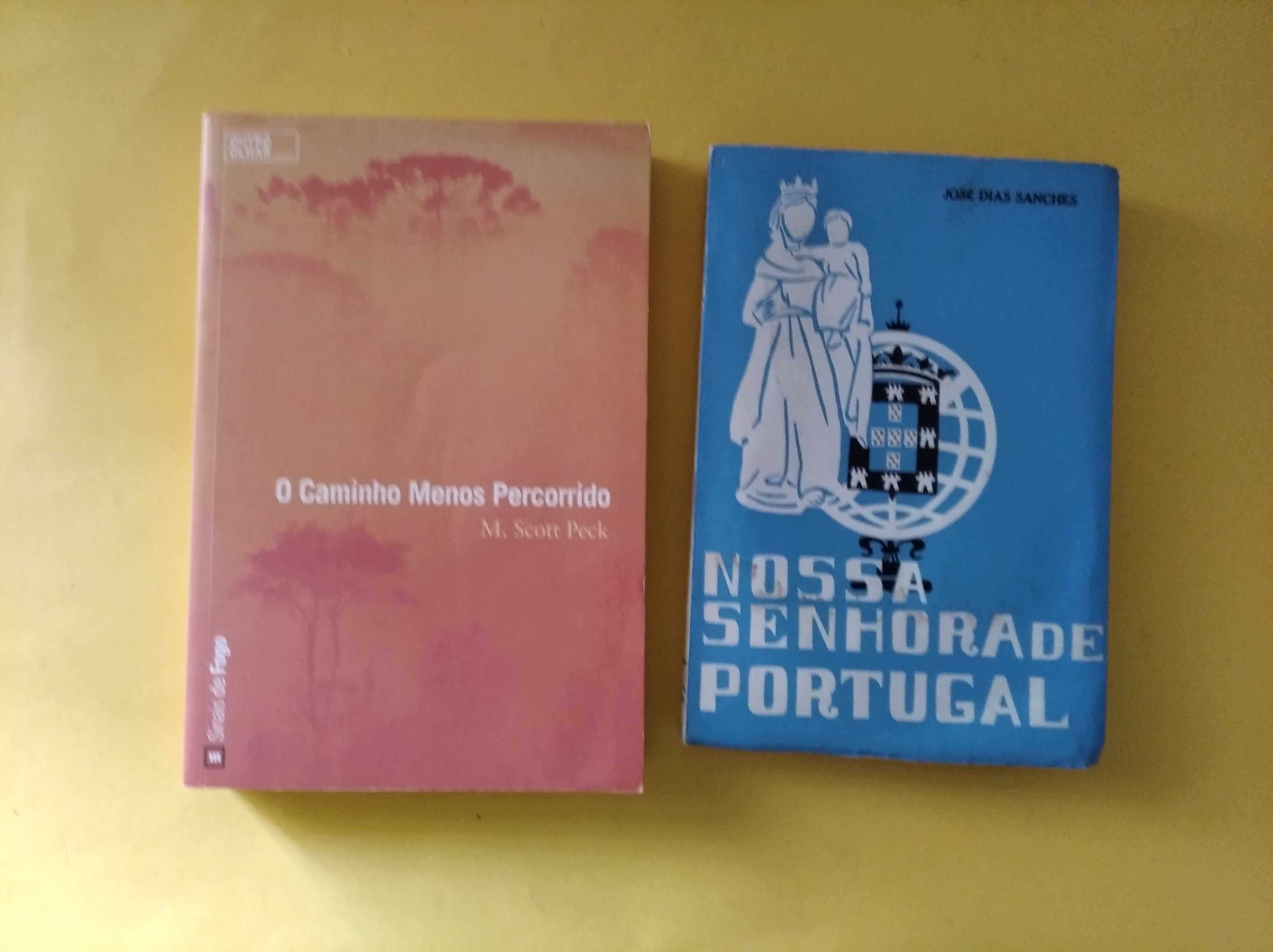 Livros de autoajuda (Mudar de vida; o caminho menos percorrido, etc)