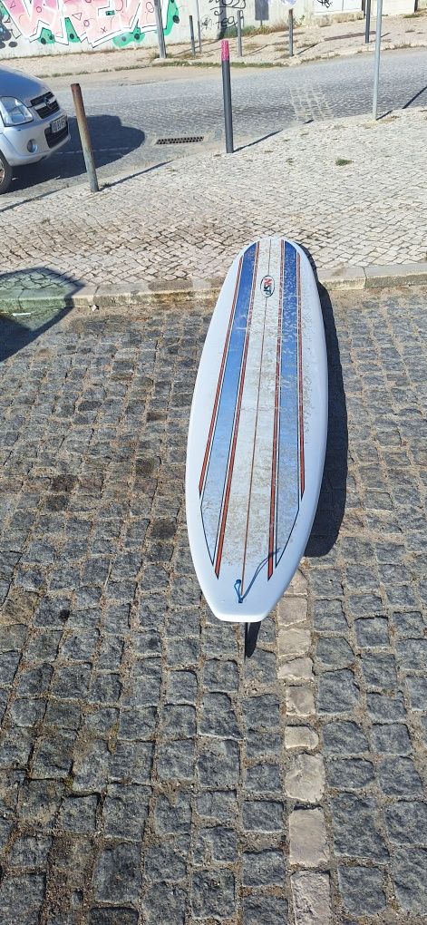 Longboard Nsp 10.2