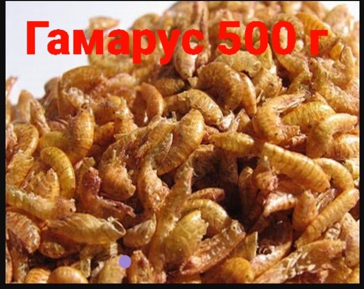 Сушений гамарус 500 г - продам