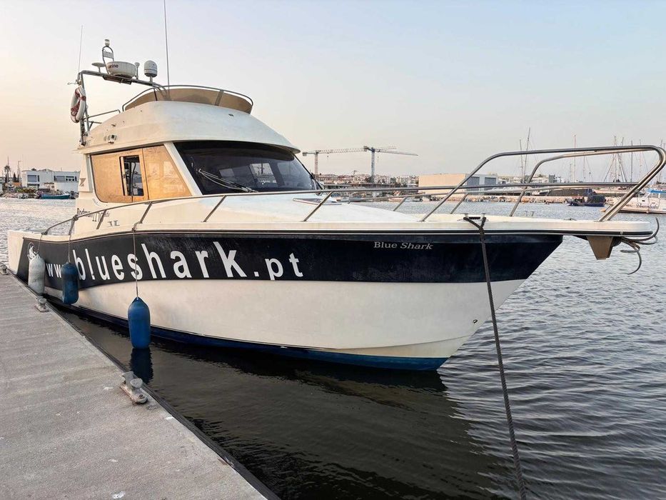Barco Rodman 1170 IPS