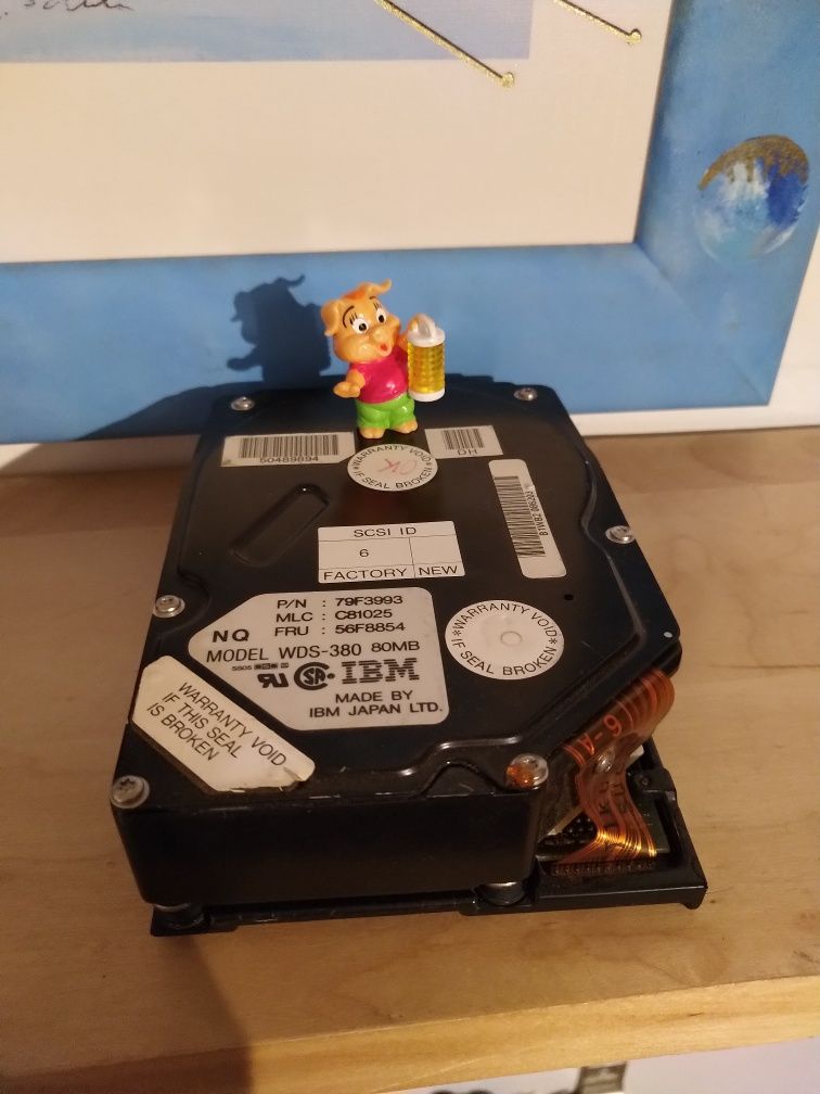 Dysk twardy IBM wds 380