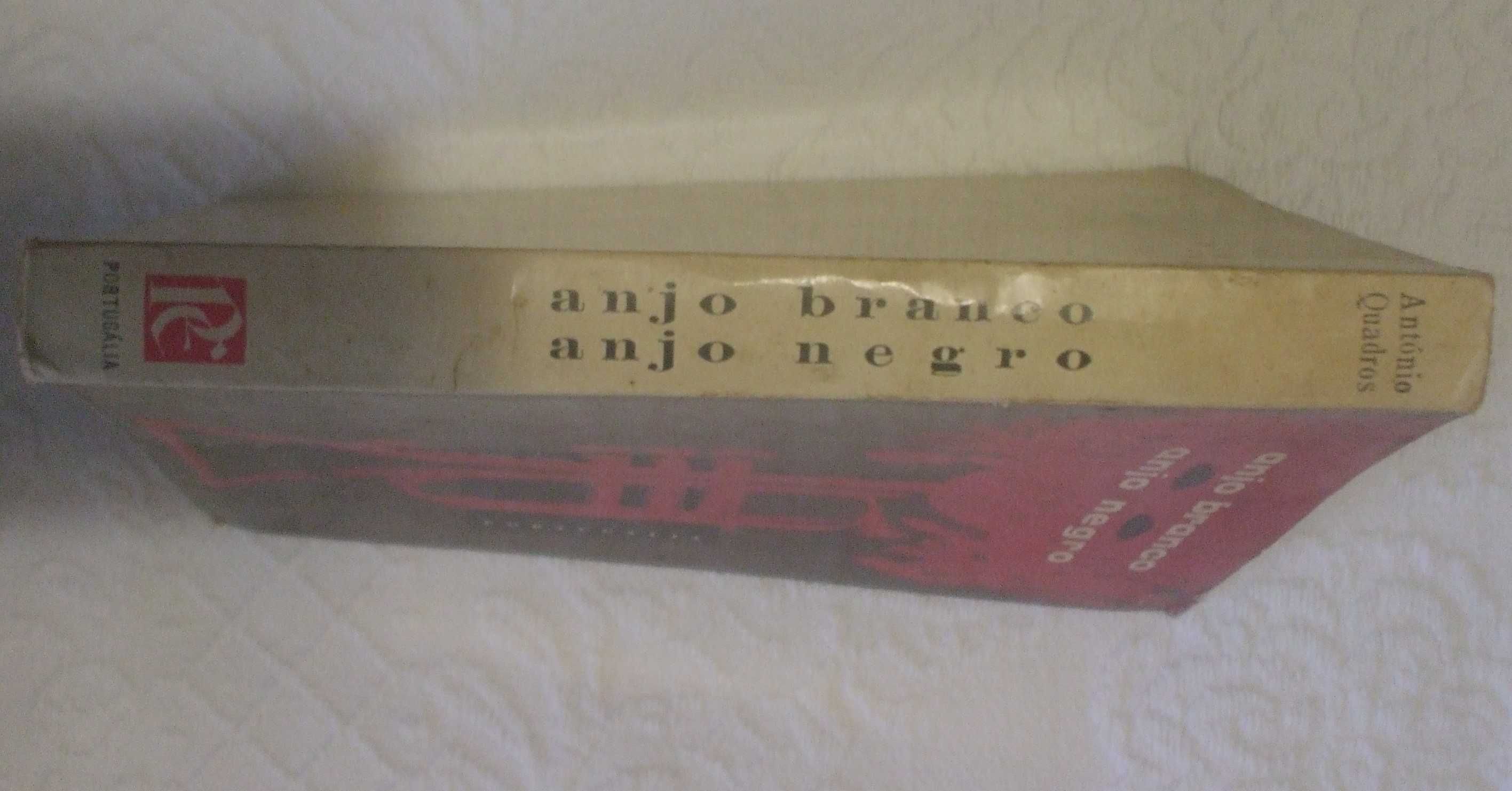 Anjo branco, anjo negro, António Quadros