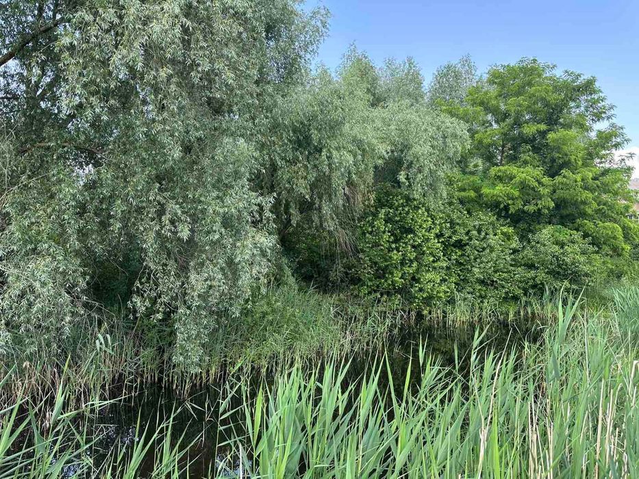 Козин унікальна затишна земельна ділянка 185000$