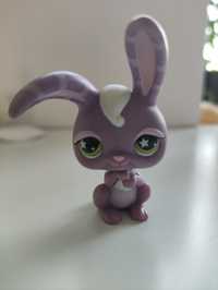 Zajaczek Littlest Pet Shop