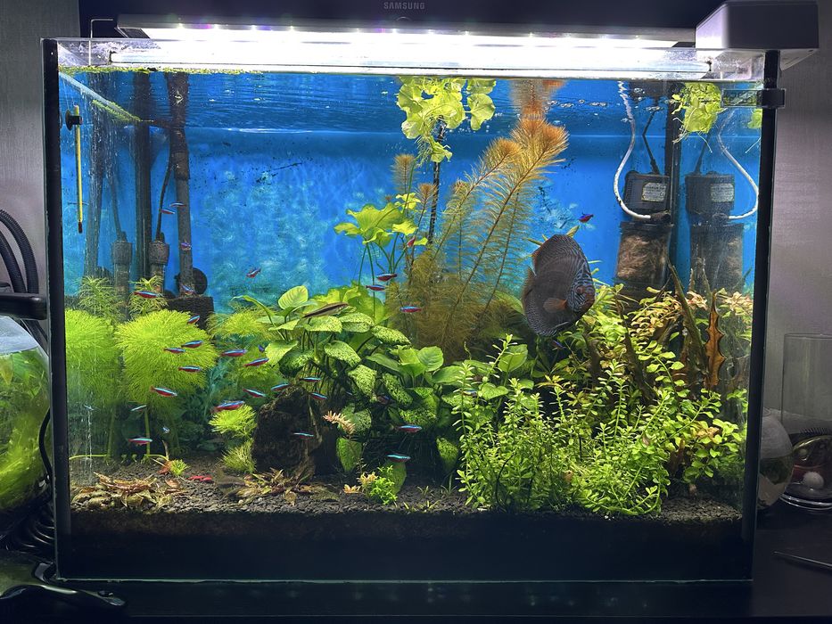 Акваруім 150 л комплект з обладнання Фіільтри Світло Київ Райдужний