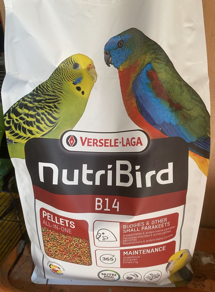 Nunribird B14 Versele-Laga