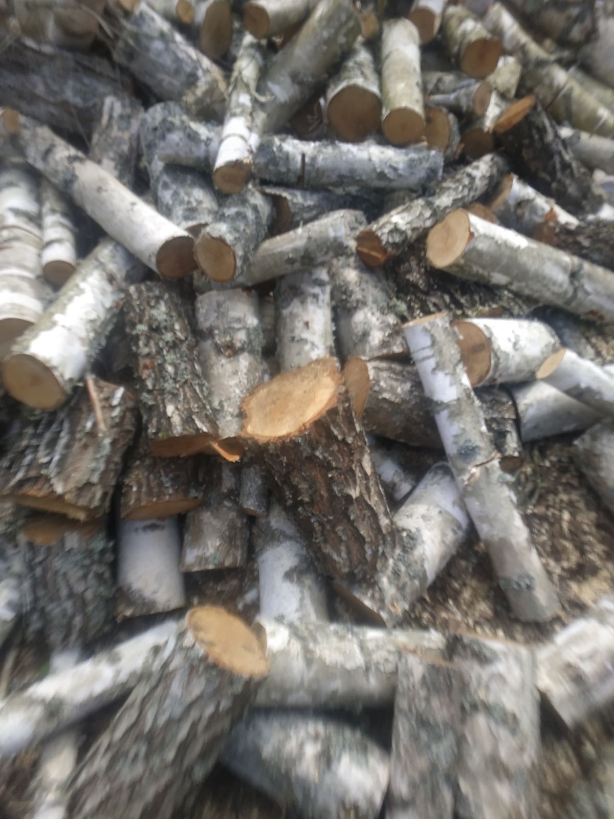 Продам дрова березові